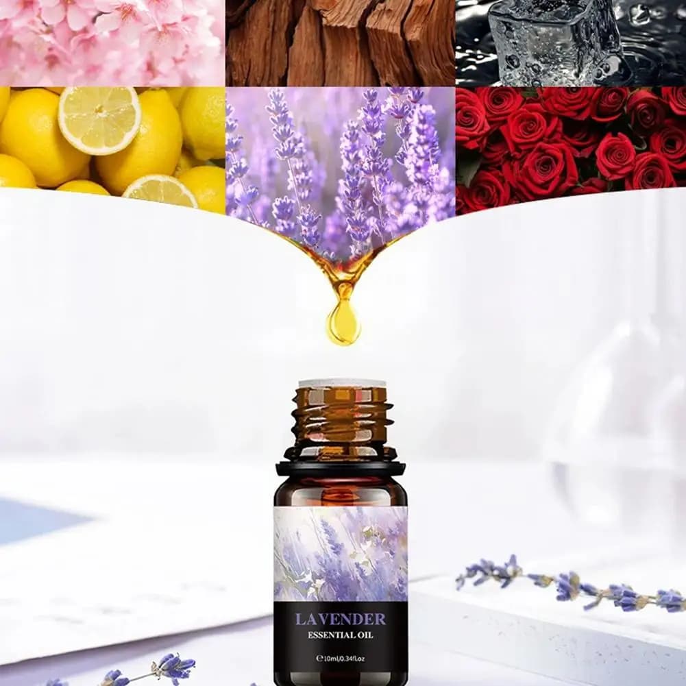 Olio Essenziale Naturale 10ml Eucalipto Lavanda Bergamotto Vaniglia Menta Piperita Oli Essenziali Aromatici per Diffusore Auto