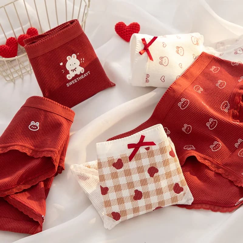 Red Ankra Pure Cotton Triangle Underwear with Checkered Rabbit Heart Design for Girls Birthday Class A Baby Cotton 3pcs