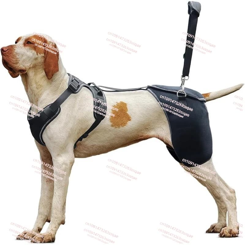 Gli tutori per le ginocchia dell'anca del cane da compagnia sono utilizzati per alleviare il dolore e proteggere la disfplasia dell'anca