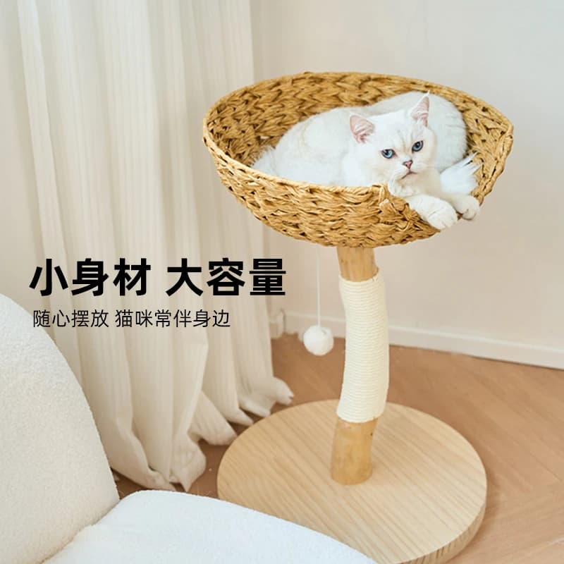 Struttura per arrampicata per gatti, albero per gatti, piccolo appartamento, in legno massello, rattan, vento estivo, di alto valore