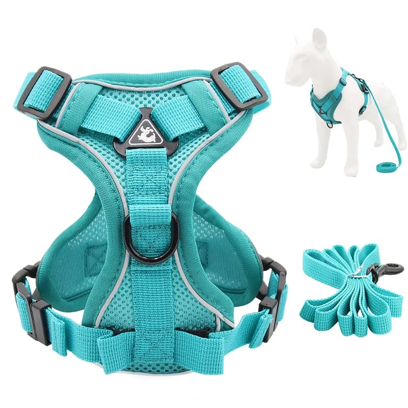 Reflective Pet Dog Harness and Leash Set for Small Medium Dogs mascotas Accessories Yorkies Puppy Cat Vest Harnesses arnes perro