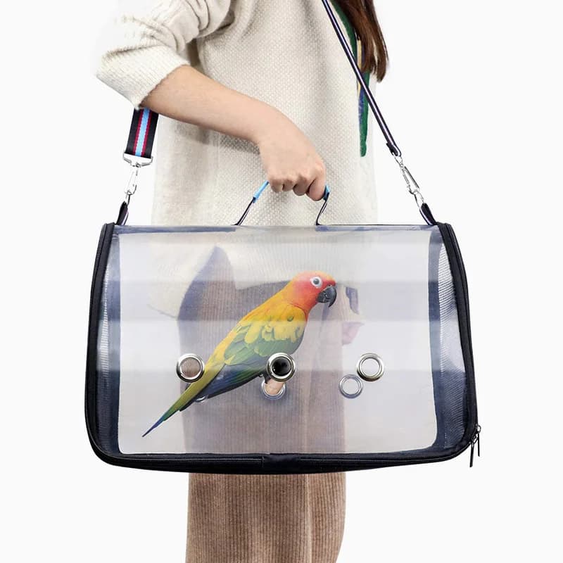 Portable Clear Bird Parrot Transport Cage traspirante Bird Carrier borsa da viaggio all'aperto piccola Pet Rabbit Guinea Pig Bird Parrot Bag