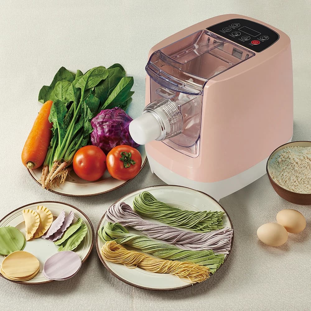 Piccola macchina elettrica per pasta elettrica automatica per uso domestico cinese che produce spaghetti Macchina per noodle Penne Macaroni