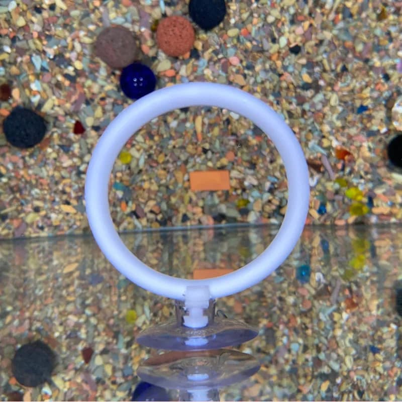 1 pc Artificial Plastic Training Ring for Aquarium with Suction cups, Interactive Toy for Fish Betta to Play, Relax and Hide