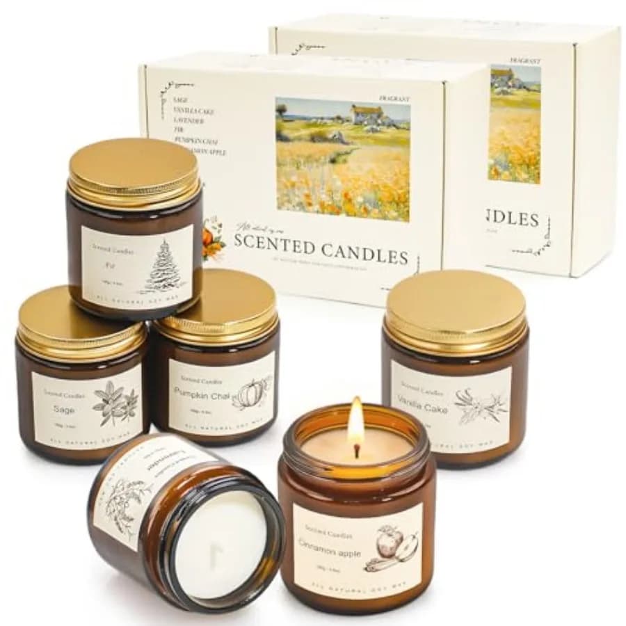 Set Regalo di Candele Profumate per la Casa, 12 Pezzi, Candele di Soia per Aromaterapia, 6 Fragranze con 2 Confezioni Regalo, Lunga Durata, Candele Piccole