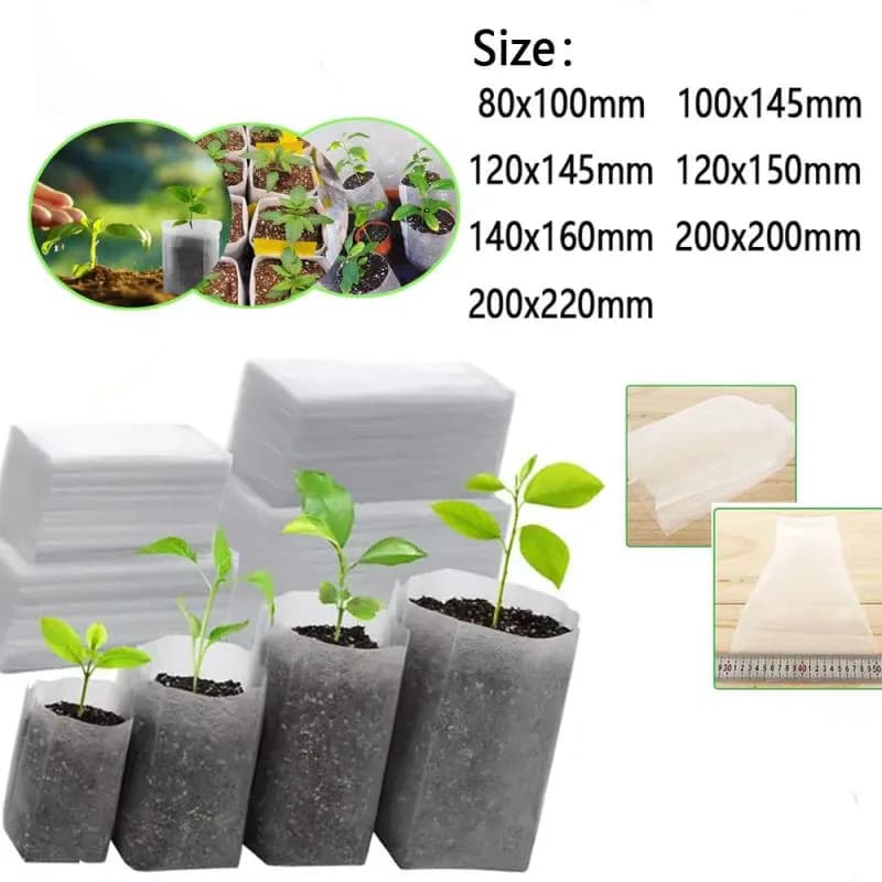 50-100cps Sacchetti per coltivazione di piante Borsa per vivaio biodegradabile Tessuto non tessuto Sedes To Sow Vasi da fiori per accessori da giardino domestico Strumenti