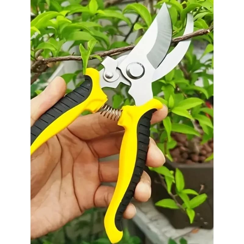 Professional sharp gardening scissors, pruning shears for branches and flowers, garden maintenance tools