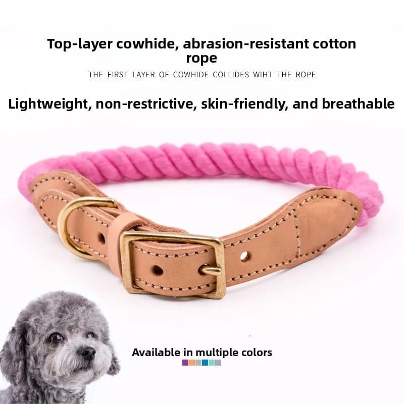 Collare per Animali Domestici in Vera Pelle con Gradiente di Colore, Guinzaglio in Nylon, Cinghia per il Collo per Cani Piccoli, Imbracatura per Teddy e Golden Retriever