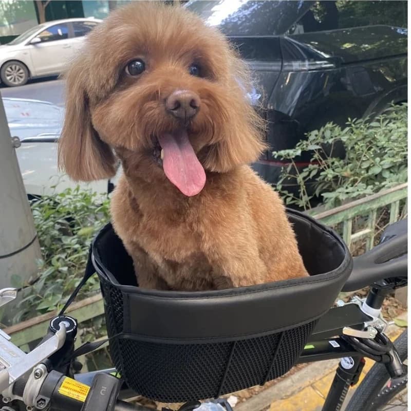 Cestino per sedile per animali domestici per bicicletta Cestino per borse per cani per gatti Cestini portatili per gattini per cuccioli Gatti Gattini Accessori per cani Porta borse per cani
