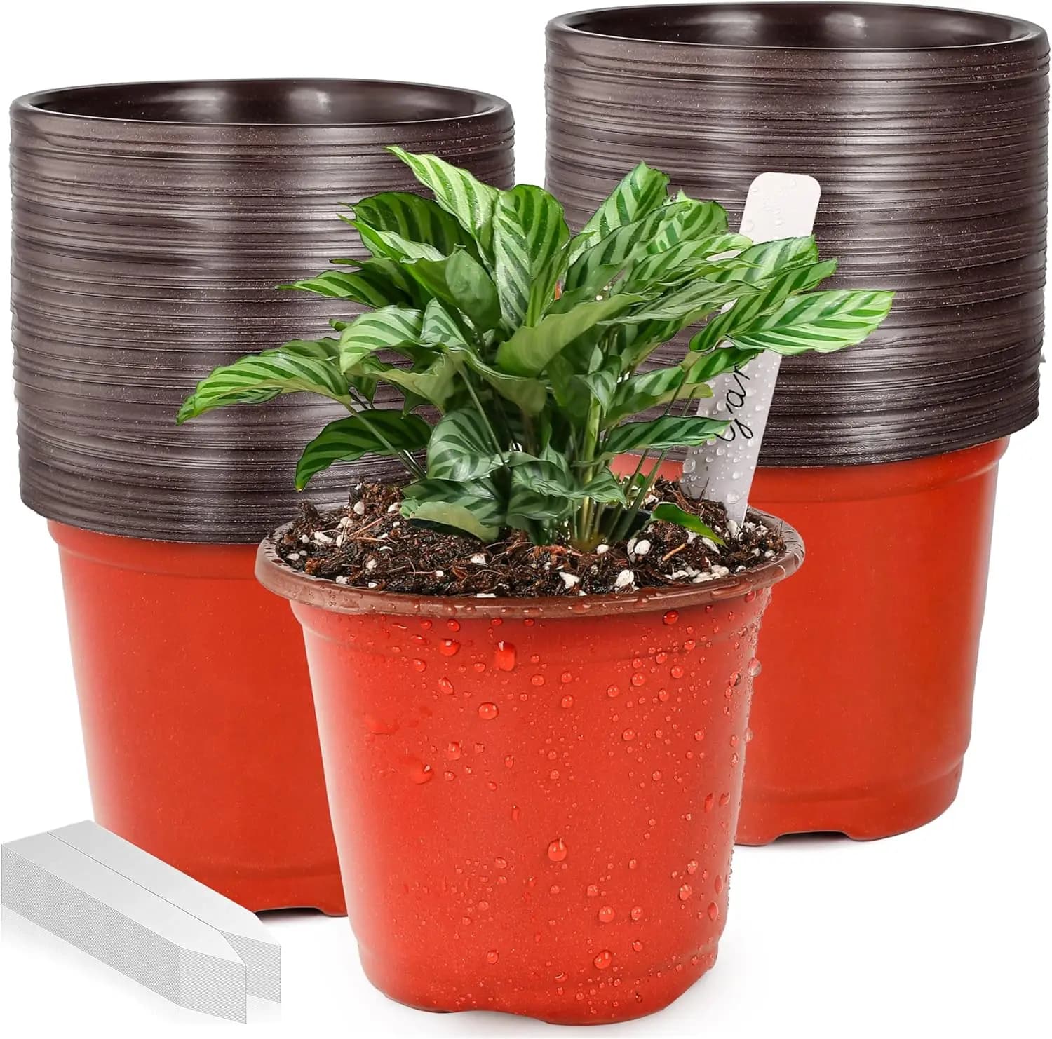 100 Vasi in Plastica da 4 Pollici con Etichette, Vasi per Semina per Piante da Interno ed Esterno, Piccoli Vasi per Fiori con Fori di Drenaggio