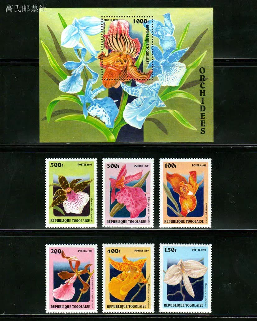 Africa Togo Post Stamps Postage Year 1999 Flower Orchid Full Set 7 New MNH Collectible Postage Stamps Material For Scrapbooking