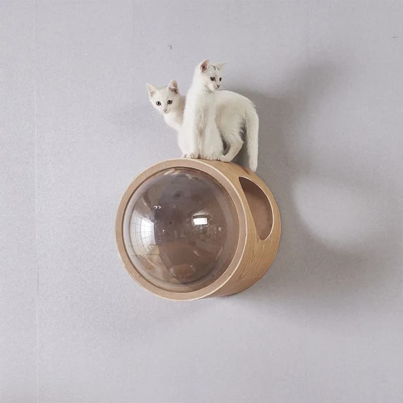 Telaio da arrampicata per gatti Tipo da parete in legno massello tipo parete in sisal capsula spaziale struttura da arrampicata per gatti che salta