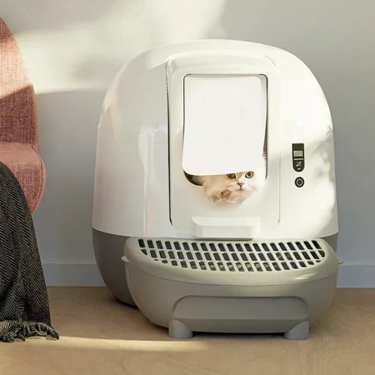 Controllo tramite app mobile Lettiera per gatti pulita automatica autopulente chiusa Toilette per animali domestici ricaricabile con mani libere