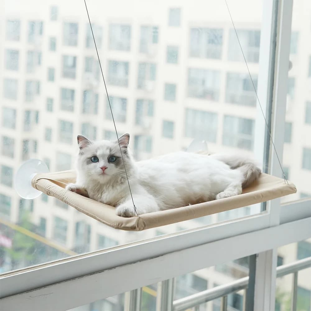 Forte letto per gatti montato su finestra Sedile soleggiato Nest Scratch Tree Amaca Letto per gatti Forniture per gattini Struttura da arrampicata Accessori per animali domestici