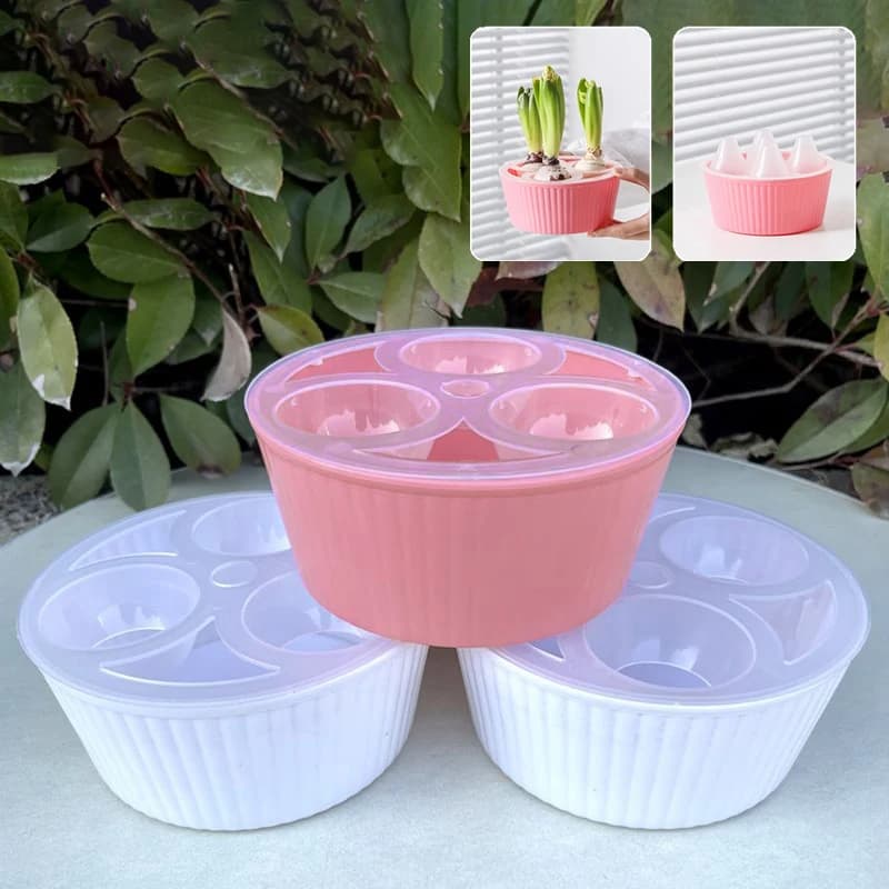Hydroponic Creative Vase for Flowers, Hydroponic Vase for Jacinti and Tulipani Without Earth, Hydroponic Vase for Plants Without Maintenance, Plant Vases Home Decoration