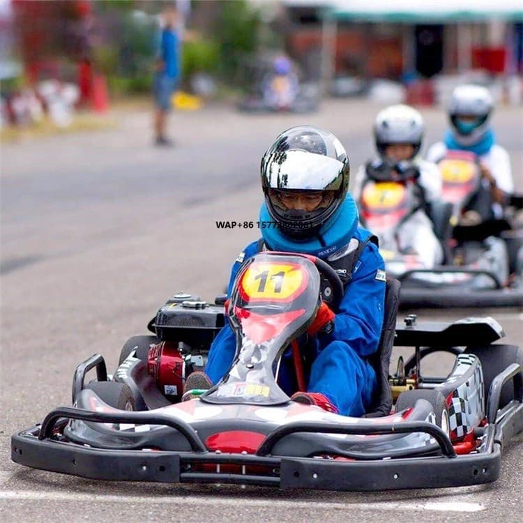 Giochi di divertimento per parco giochi 200cc Pedal Racing Go Kart Karting Car in vendita