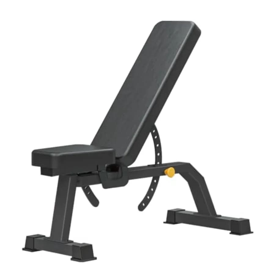Adjustable Training Bench with Weights, Inclinable, Flat, Declineable, for Sit-up, with Stool for Manubri, Black Steel Frame, Resistant Polyester