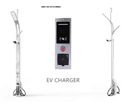 Colonnina di ricarica EV da palo per illuminazione stradale europea, 32A 230V Monofase, Presa Tipo 2, Caricatore EV, Caricatore per lampione solare, DLB OCPP