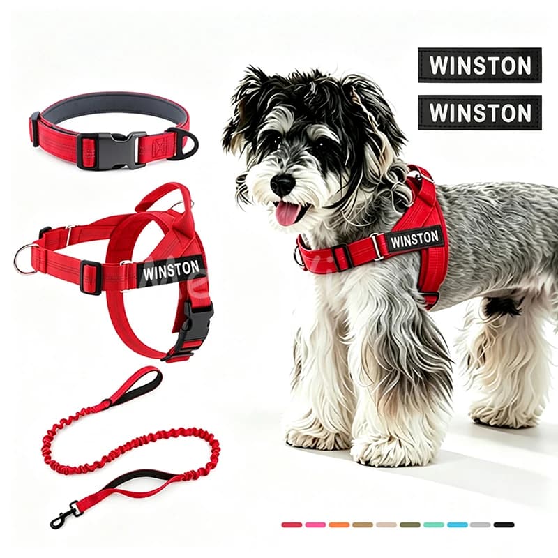 3-Piece Dog Collar Harness Leash Set Personalized Name Patch Adjustable Nylon Pet Walking Gear for Small Medium Dogs Training