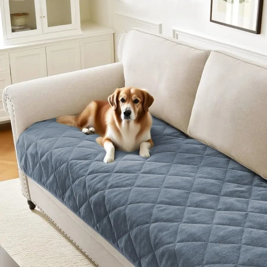 Cover for Washable Dogs, Cover for Domestic Animals in Belt with Square Pattern, Anti-slip for Furniture