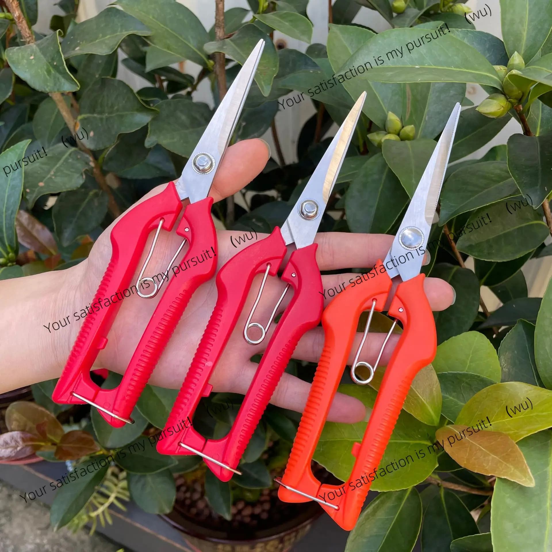 Fruit picking shears Stainless steel thin fruit shears picking tree branches pruning bonsai tools shearing