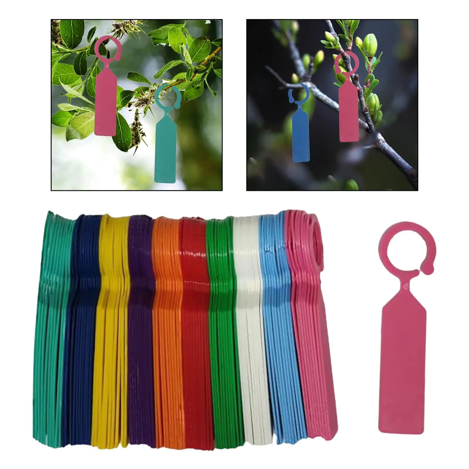 Etichette per Piante da Appendere, Spesse e Impermeabili, con Anello in Plastica per l'Identificazione di Alberi e Fiori nei Giardini