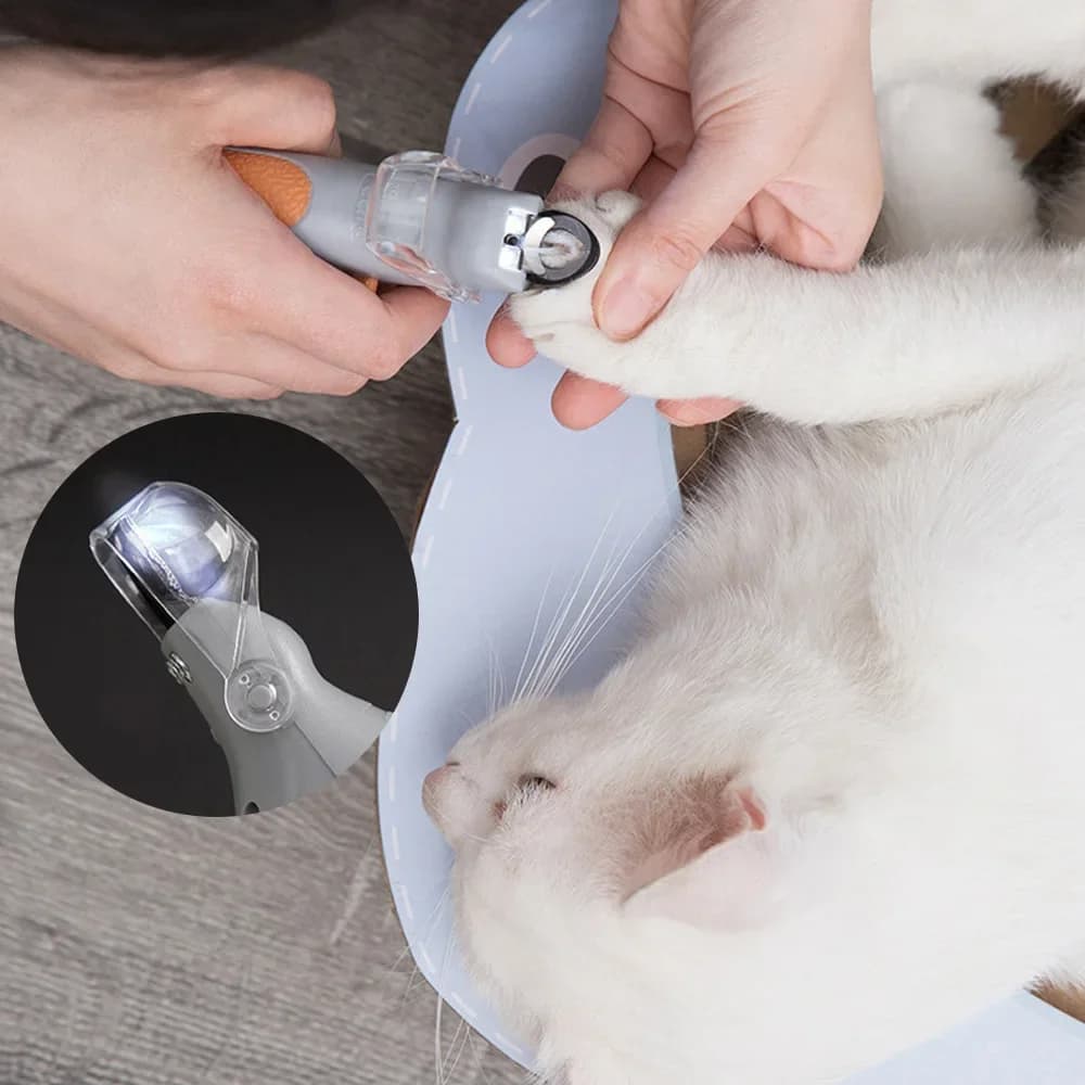 Tagliaunghie per Animali Domestici con Luce LED, Protezione di Sicurezza e Lente d'Ingrandimento, Lame in Acciaio Inossidabile per Cani, Gatti e Piccoli Animali