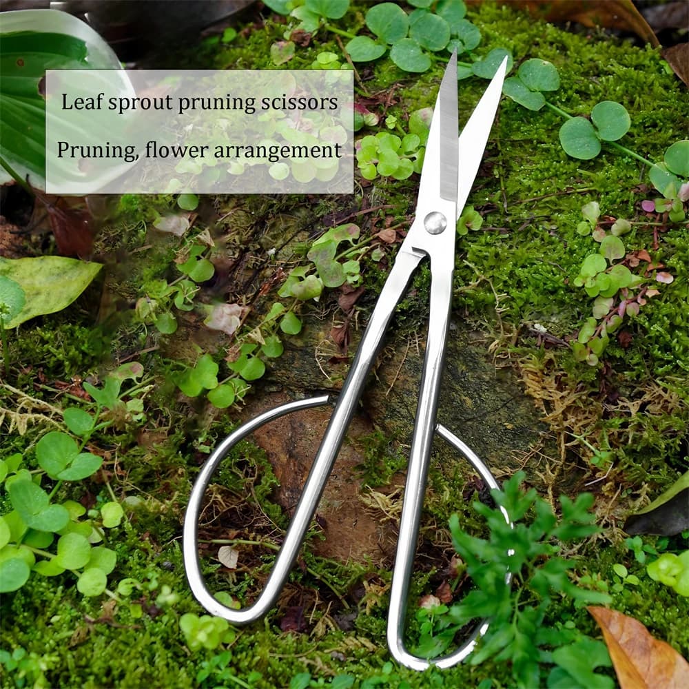Gardening shears Scissors for flower branches Garden scissors Garden scissors Stainless steel pot pruning tool Garden scissors for home