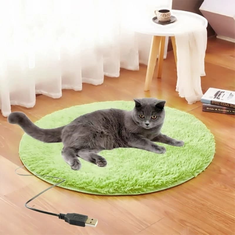 1pc USB Pet Coperta Elettrica Peluche Coperta per Gatto Riscaldata Elettrica Pad Anti-graffio Tappetino Riscaldante per Cani Letto per Dormire per Cane