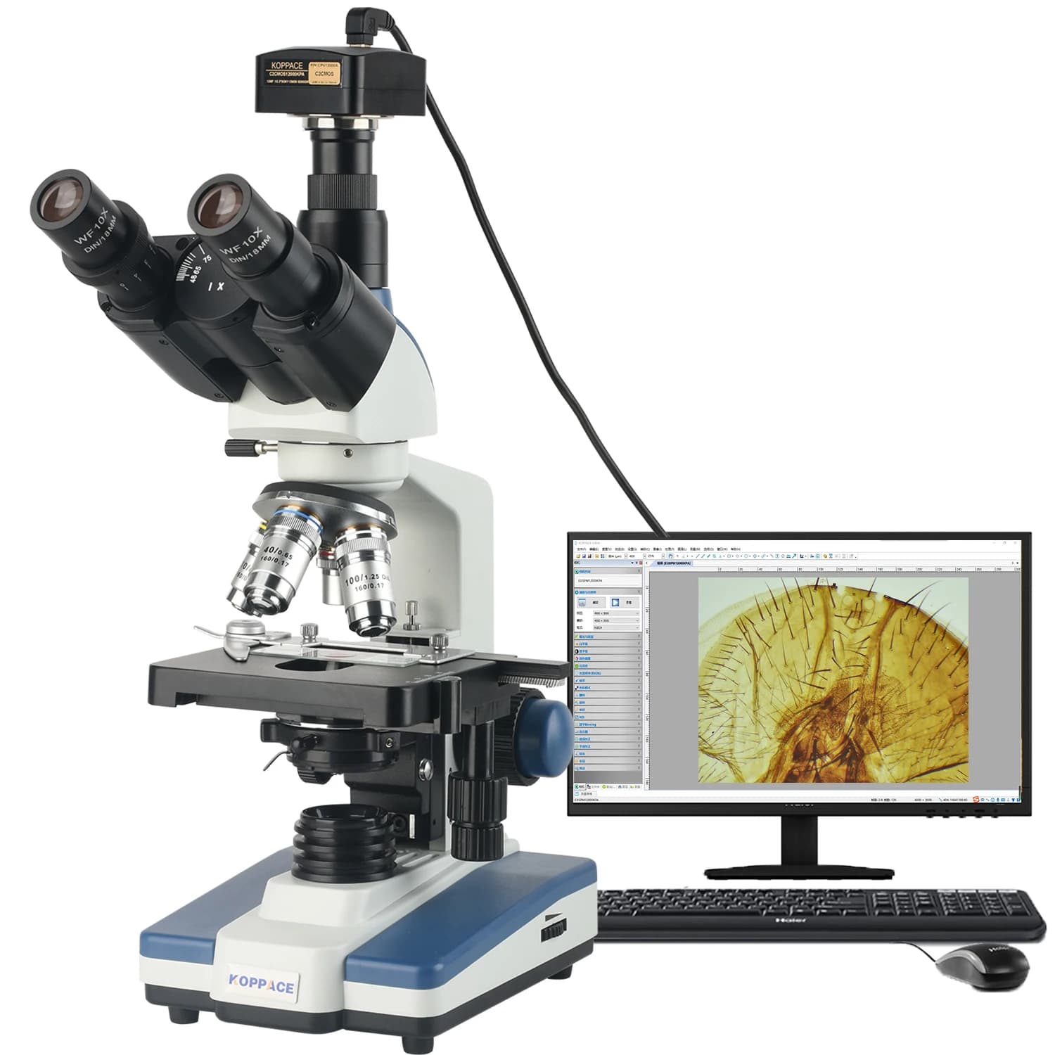 ‌ Microscopio da laboratorio elettronico KOPPACE 291X-7280X 12MP con fotocamera USB2 ‌