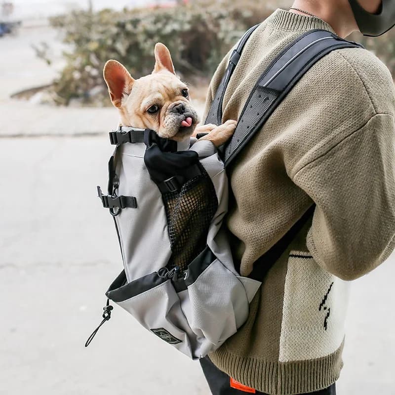 Backpack-style equipment for carrying items during travel or while driving, specially designed for Samoyed dogs and Beagle dogs
