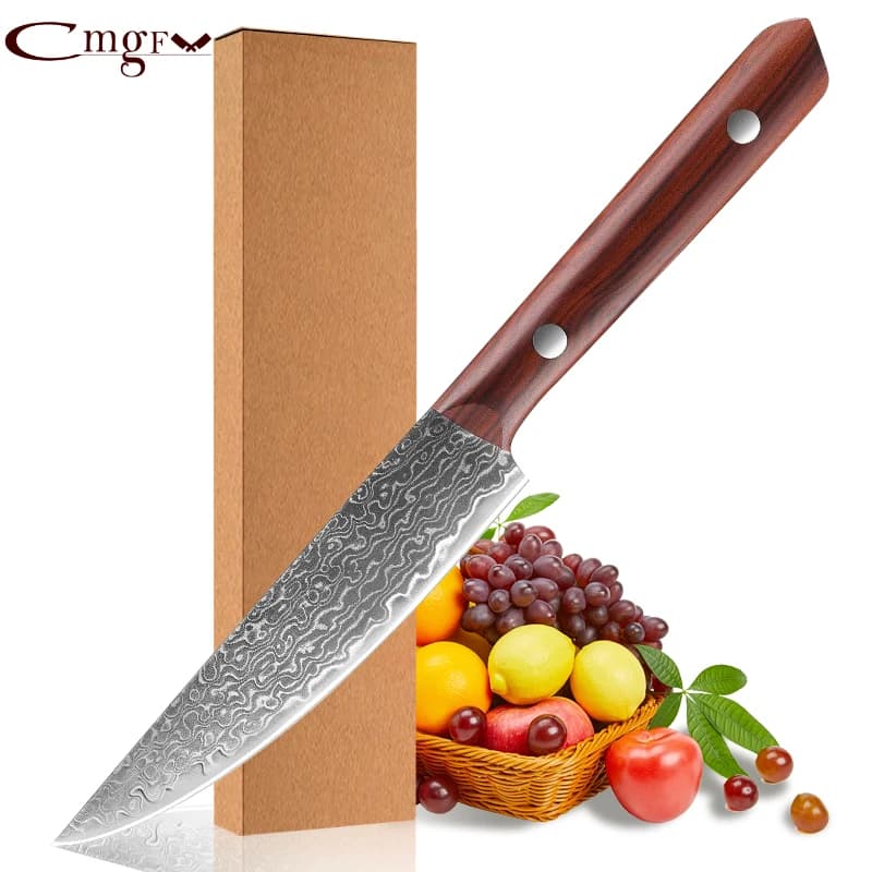 Fruit knife Kitchen knife for the 67-layer steel house in Damascus, Slicing mannaia, Multi-functional cooking tool, Ramadan