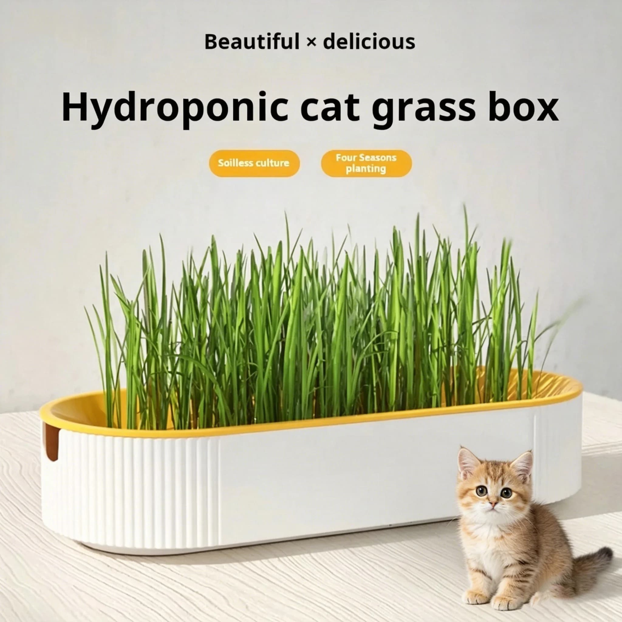 Easy Growth Hydroponic Cat Grass Box Dish Growing Pot Cat Treats Catnip Hydroponic Soilless Planting Cat Grass Set Without Seeds