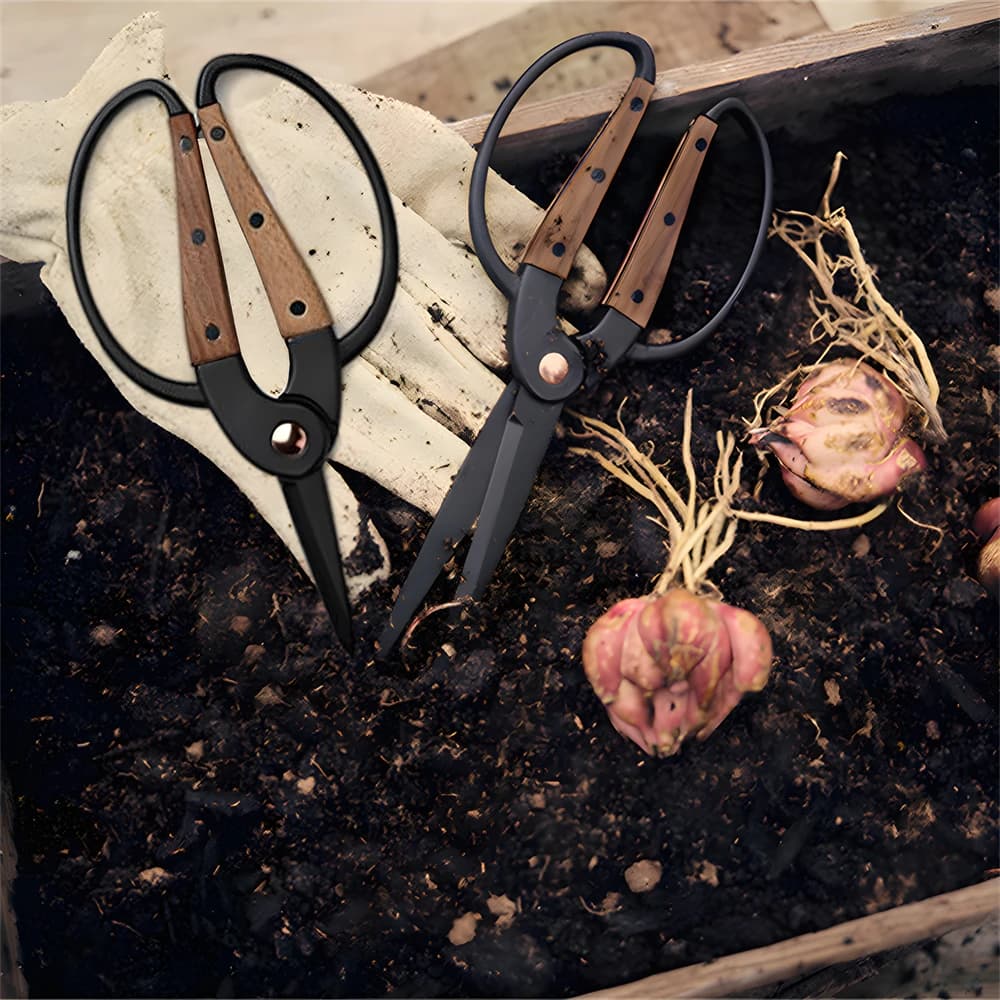 1PC, Forbici per potatura delle radici di grado professionale Strumenti per bonsai in acciaio inossidabile Fiori per foglie da giardino Forbici per uso domestico Forbici a mano
