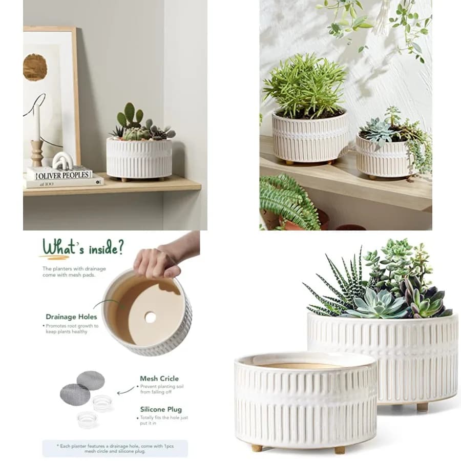 Succulent Planters, 6.5+8 Inch Ceramic Indoor Plant Pot with Drainage Hole, Shallow Round Succulent Pots, Set of 2