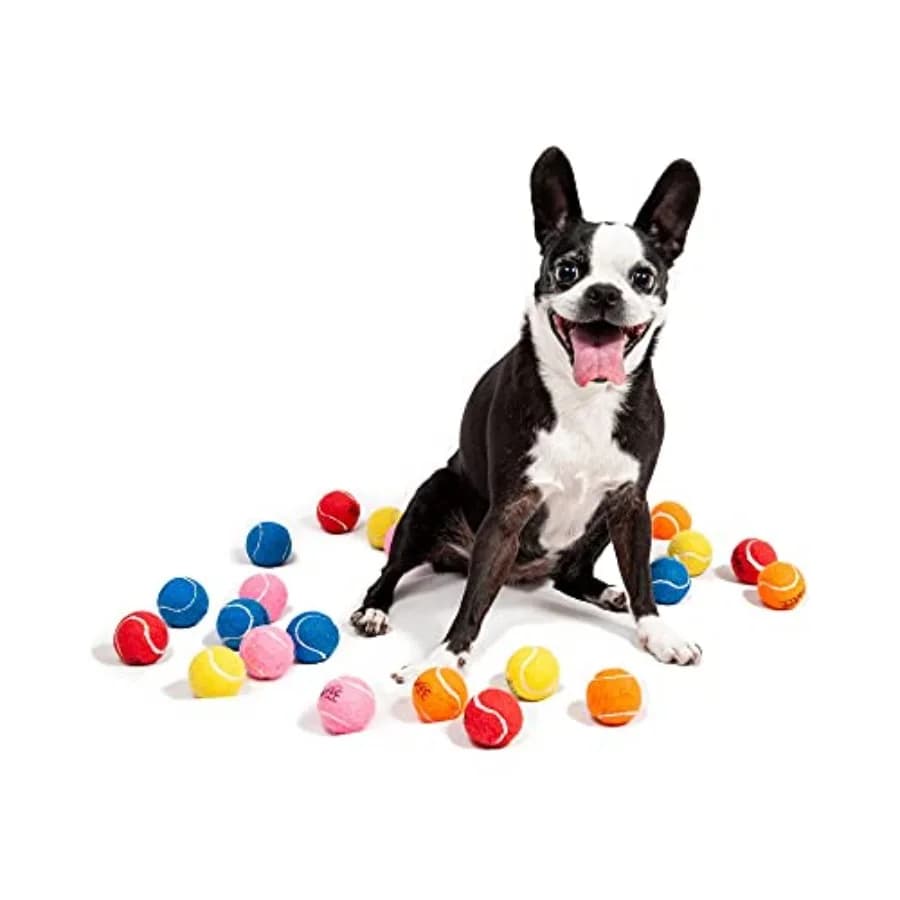 Set di 25 Palline da Tennis Mini per Cani da 1,5 Pollici in Colori Assortiti