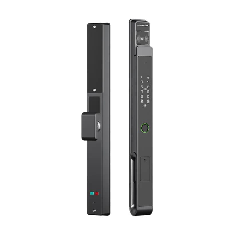 Smart Facial Recognition Door Lock TTLock Automatic Aluminum Gate Fingerprint Waterproof Outdoor Password Lock for Courtyard