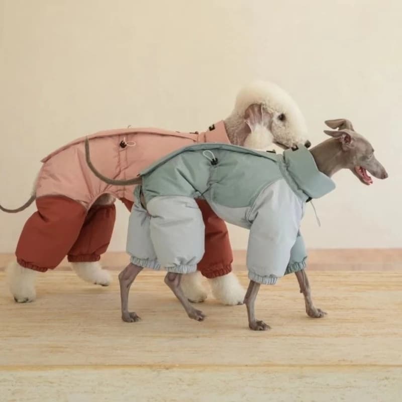 Cappotto spesso per cani, tuta pigiama per cani caldo, vestiti invernali per animali domestici levriero Whippet di razza grande, giacca per cuccioli abbottonata