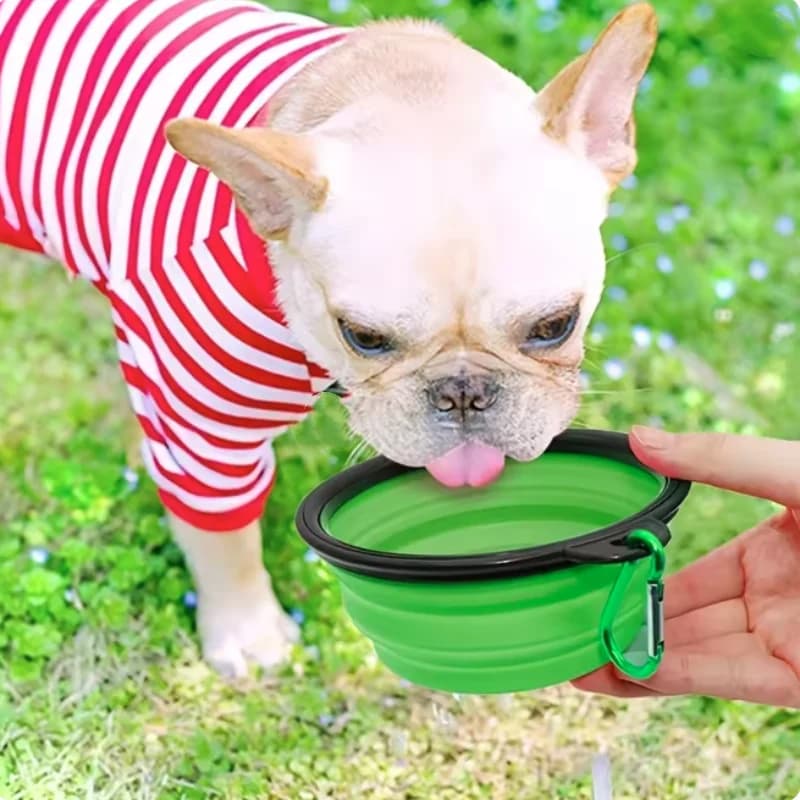 Ciotola pieghevole in silicone resistente per animali domestici, portatile da viaggio, per acqua e cibo, per cani e gatti