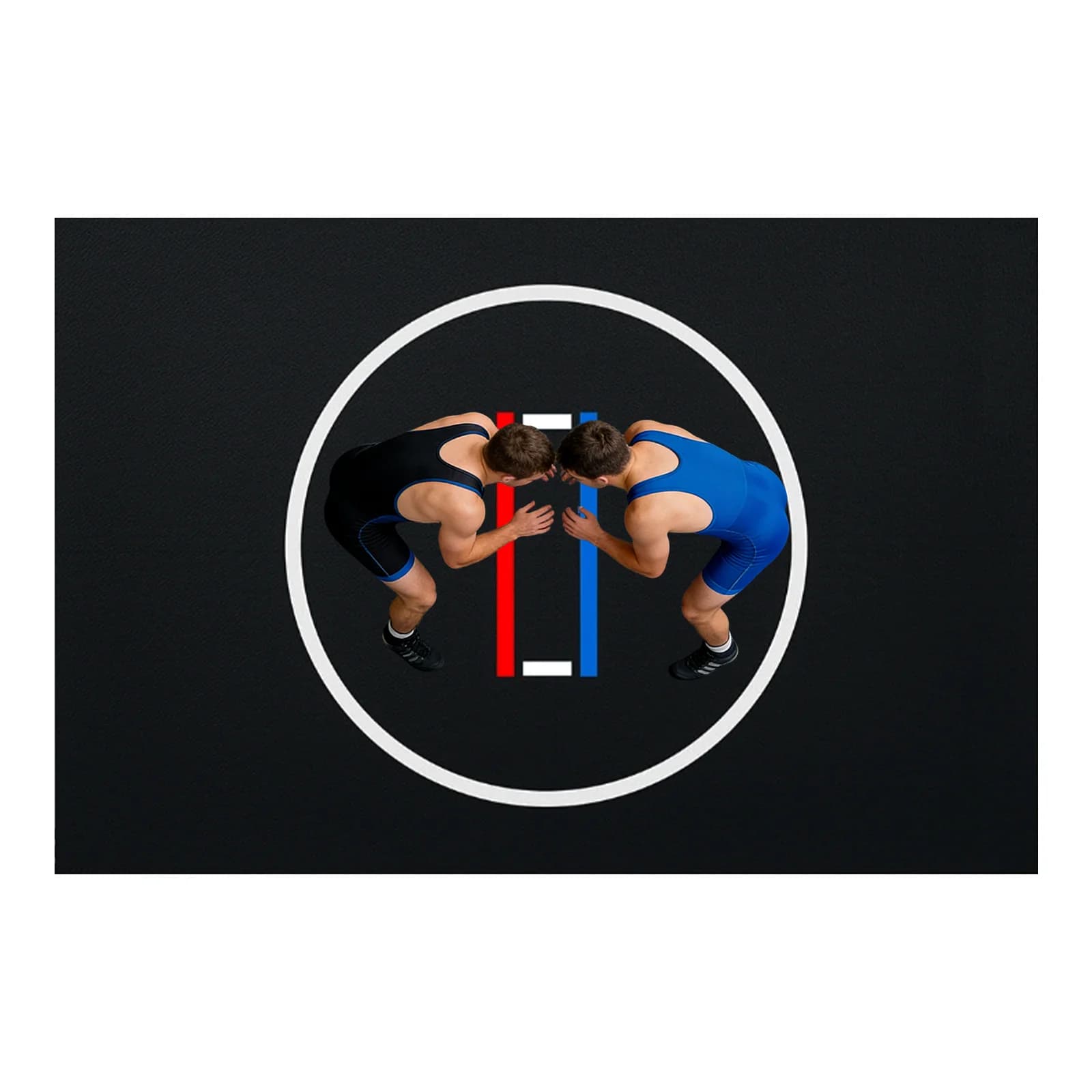 Tappeto da wrestling 10x10/6.6x10ft per arti marziali domestiche, tappeto da judo arrotolabile, spessore 1.18in, pieghevole per ginnastica e allenamento PE