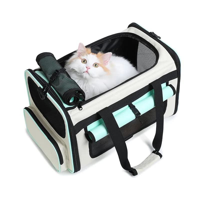 Custodia da trasporto per gatti Trasportino da viaggio per cani da compagnia Borsa per gatti con lato morbido Trasportino per gatti pieghevole approvato dalla compagnia aerea per cani e gatti