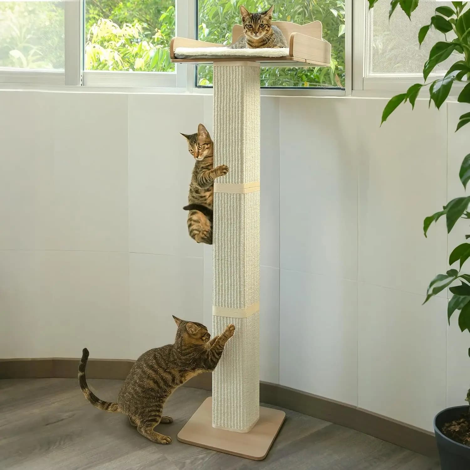 Posto per Gatti da Finestra con Tiragraffi in Sisal Spesso, Amaca per Gatti da Finestra, Tiragraffi Regolabile per Gatti Alti fino a 135 cm con 2 Tiragraffi