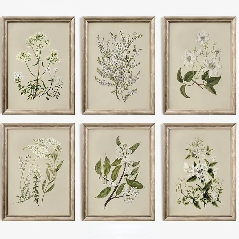 Vintage Beauty Style Botanical Flower Floral Gallery Art Poster Canvas Painting Wall Prints Picture for Living Room Home Deco
