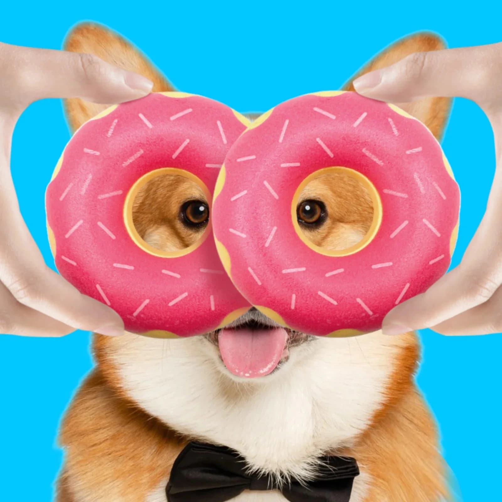 Giocattolo per cani con ciambella in gomma con funzioni di digrignamento dei denti, pulizia dei denti, compagnia interattiva, rilassamento e vocalizzazione