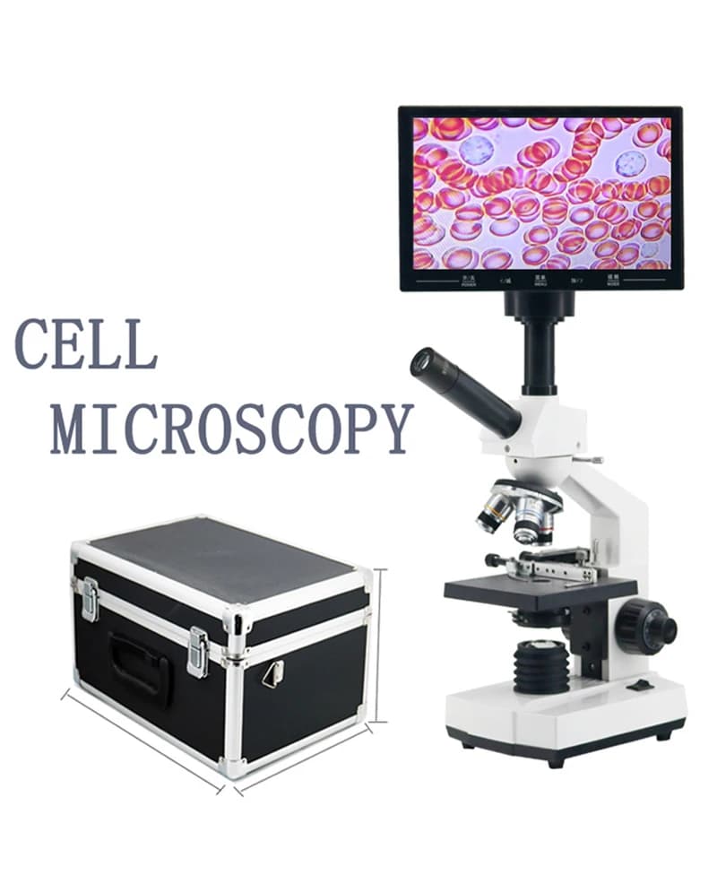 Microscopio professionale per il rilevamento delle cellule ad alta definizione, strumento per il rilevamento e l'analisi del sangue a una goccia, microscopio video