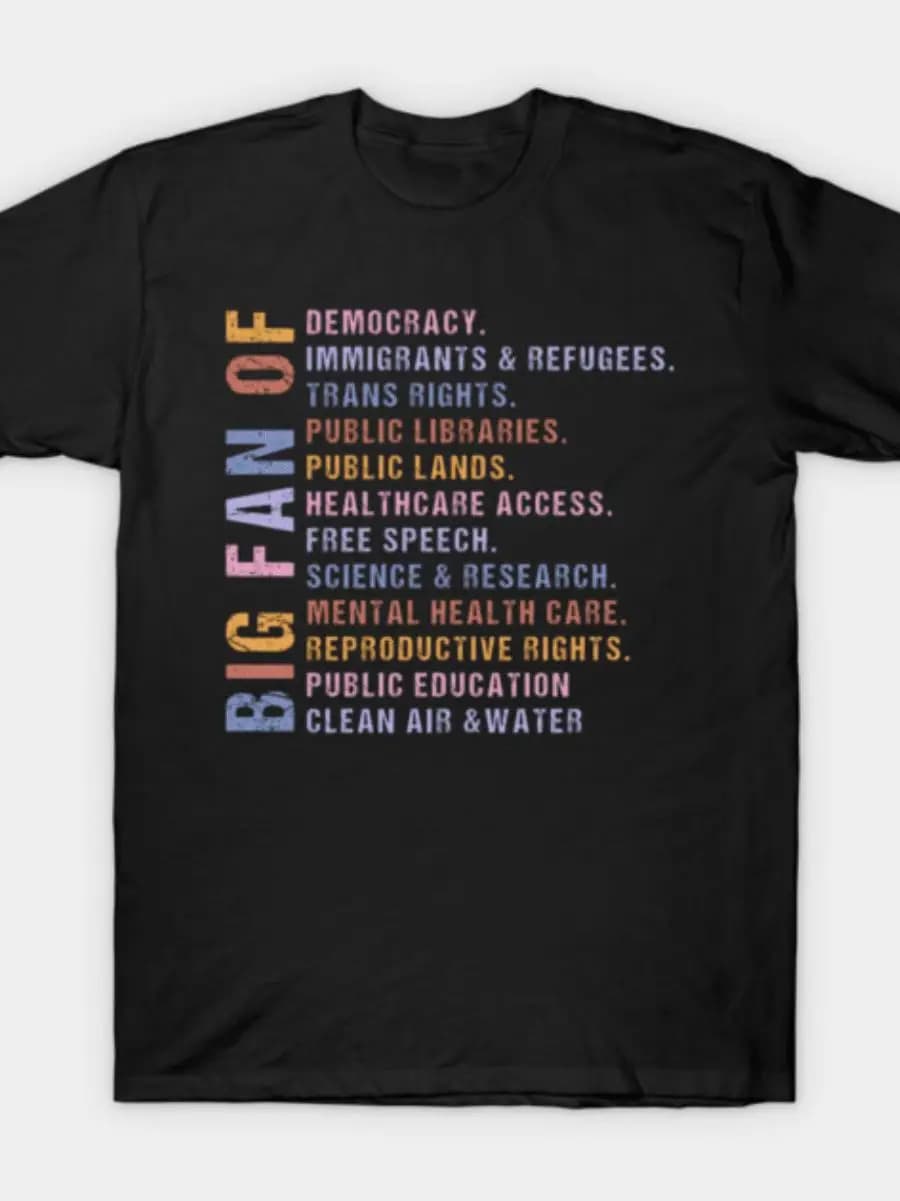Big Fan Of Human Rights, Political Minimalist, No Human Is Illegal, Radicalized By Basic Decency, Subtle Anti T-Shirt.png