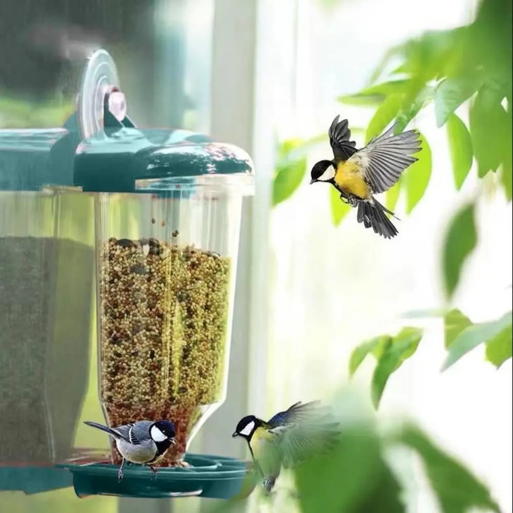 Dispenser per alimenti da appendere per uccelli Ciotola per acqua per uccelli Mangiatoia per uccelli in plastica con ventosa con ventosa Strumento per allevare uccelli Forniture per animali domestici