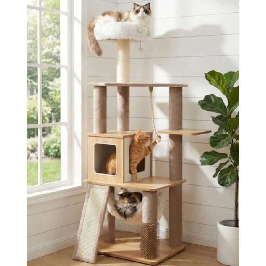 Torre per Gatti Moderna da 61 Pollici per Gatti da Interno, Lussuosa Torre da Arrampicata con Divanetto in Peluche, Cuccette per Gatti, Amaca e Tiragraffi