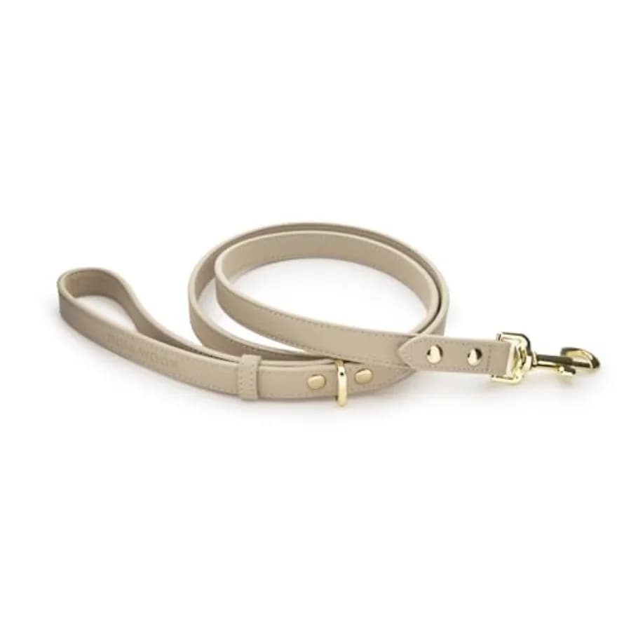 Guinzaglio per cani in pelle - Cupertino - Guinzaglio sottile con hardware rinforzato Design europeo Collari, pettorine e guinzagli morbidi per cani 4Fee