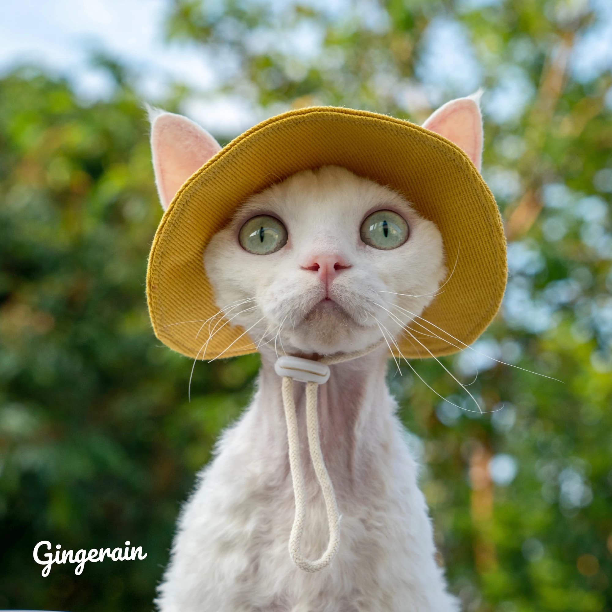 Devon Rex Cappelli per gattini per gatti Sphynx Fornitore per animali domestici Cappello in cotone senza maniche per gatti Protezione solare Viaggi Escursionismo Tie Dye Cappelli regolabili